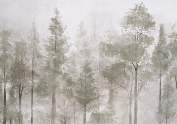 Gruppo di alberi nella nebbia Gruppo di alberi nella nebbia