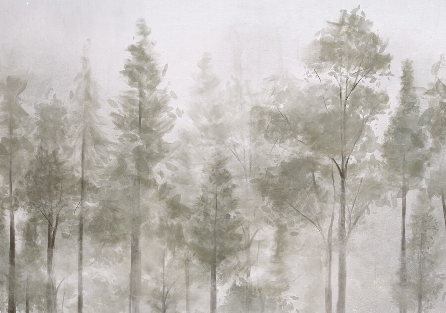 Gruppo di alberi nella nebbia