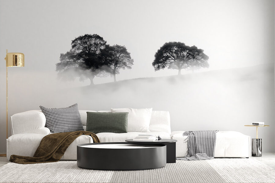 Gruppo di alberi nella nebbia