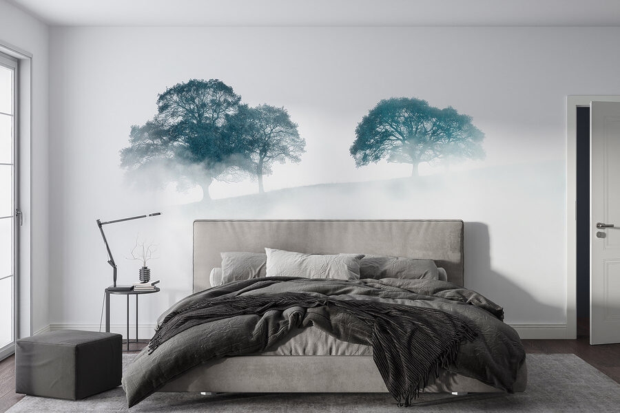 Alberi nella nebbia
