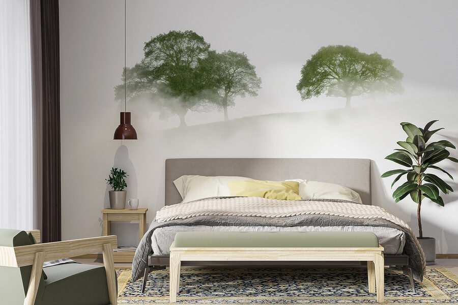 Alberi nella nebbia