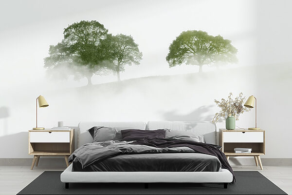 Alberi nella nebbia Alberi nella nebbia
