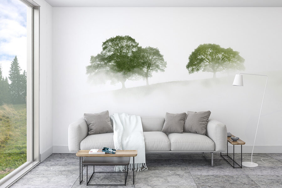 Alberi nella nebbia