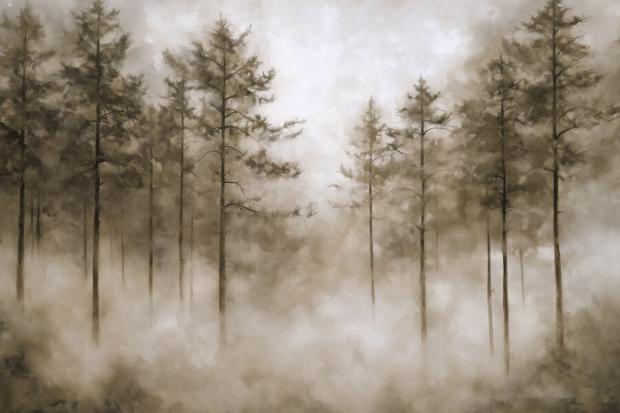Carta da parati Foresta nebbiosa con alberi - immagine 7