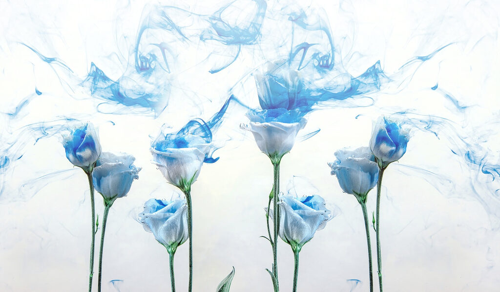 Gruppo di fiori con inchiostro blu in acqua Gruppo di fiori con inchiostro blu in acqua