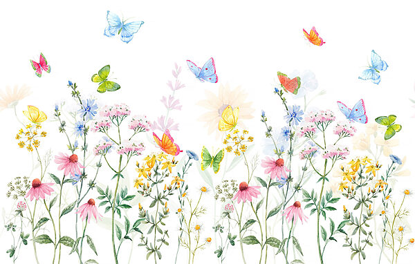 Pittura di fiori e farfalle Pittura di fiori e farfalle