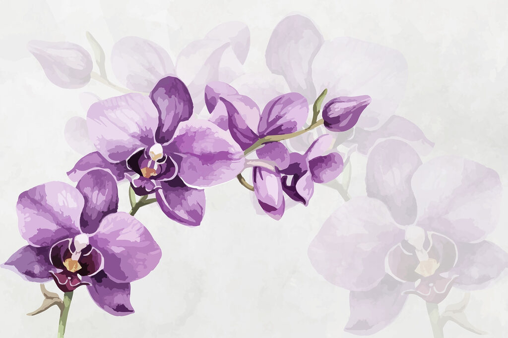 Fiori viola su un ramo Fiori viola su un ramo