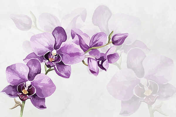 Fiori viola su un ramo Fiori viola su un ramo