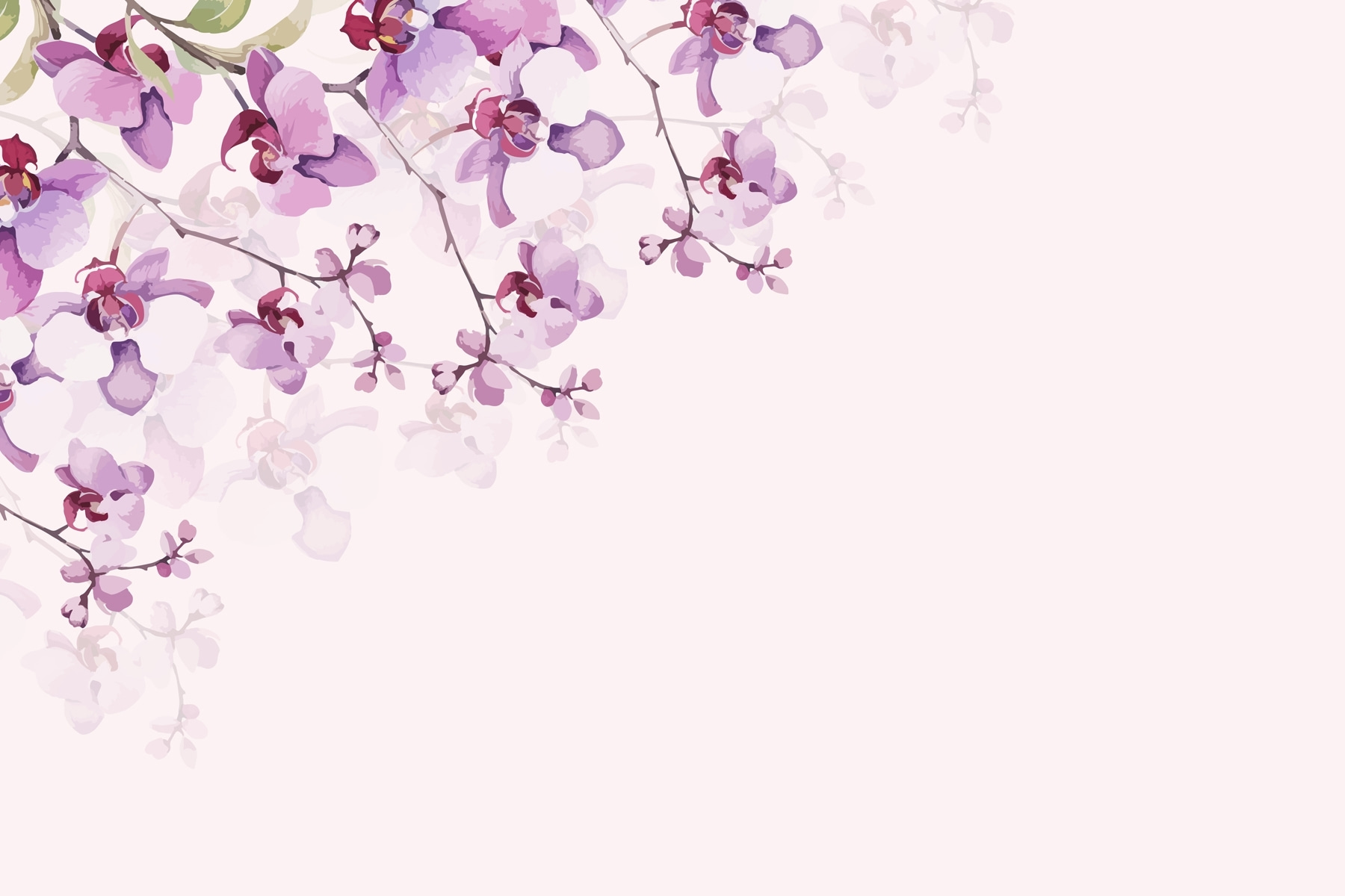 Delicate orchids in soft pastel hues