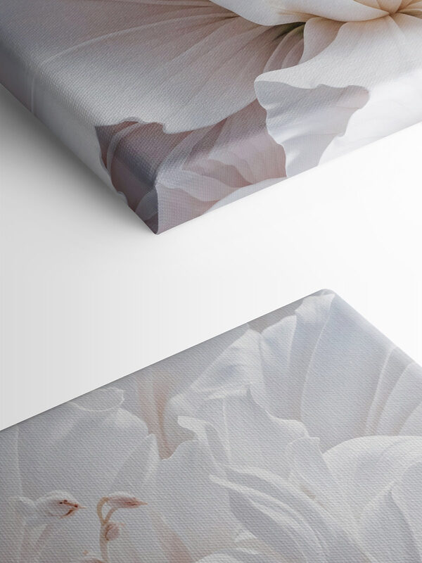 Delicate petals in soft hues
