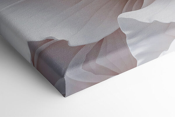 Delicate petals in soft hues