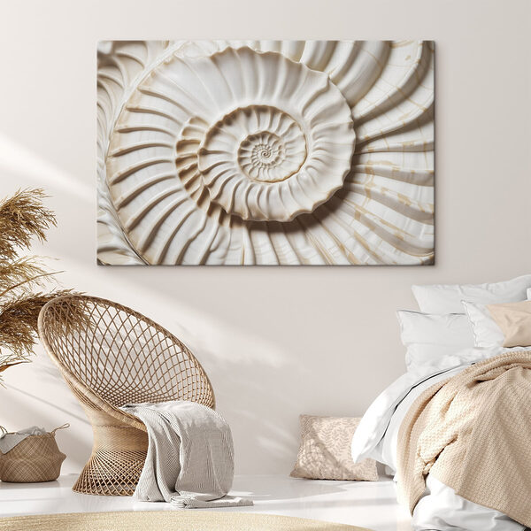 Elegant spiral shell pattern displayed beautifully