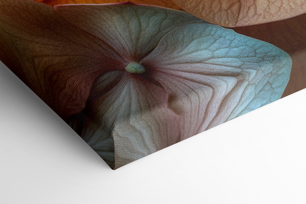 Delicate petals in soft hues