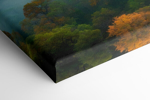 Foggy forest with trees