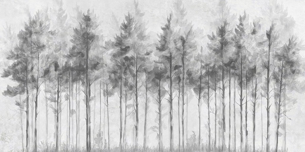 Gruppo di alberi in una foresta Gruppo di alberi in una foresta