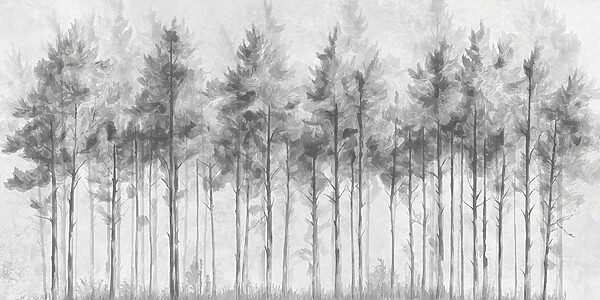 Gruppo di alberi in una foresta Gruppo di alberi in una foresta