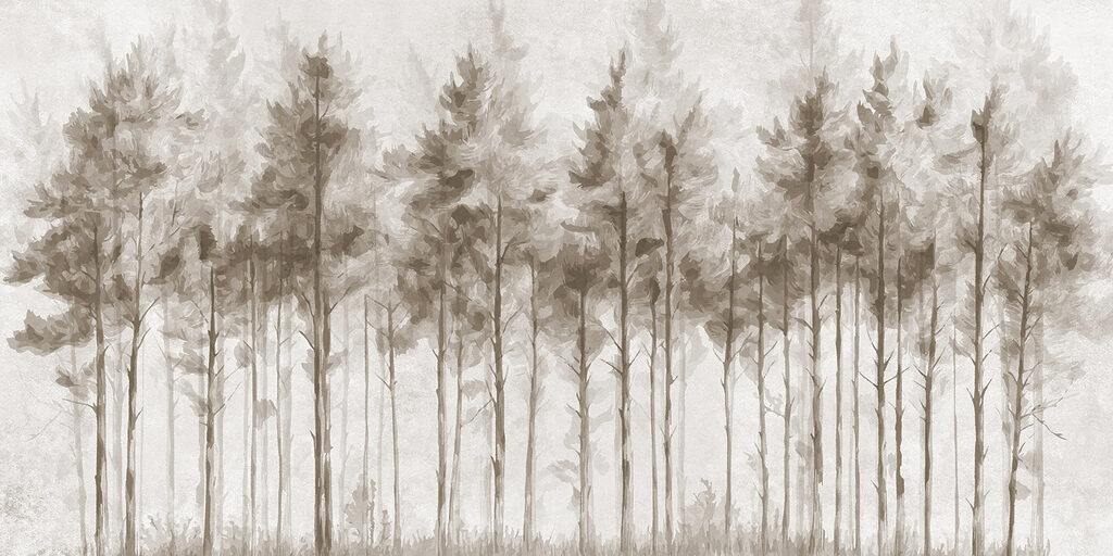 Gruppo di alberi in una foresta Gruppo di alberi in una foresta