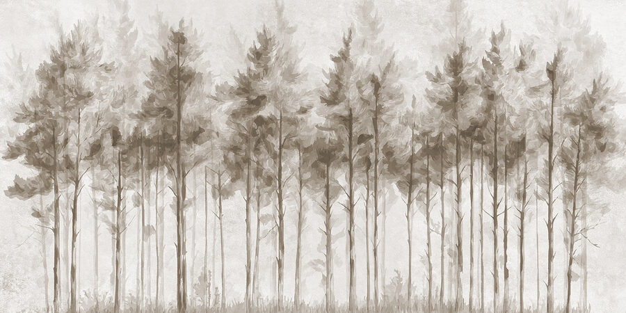 Gruppo di alberi in una foresta