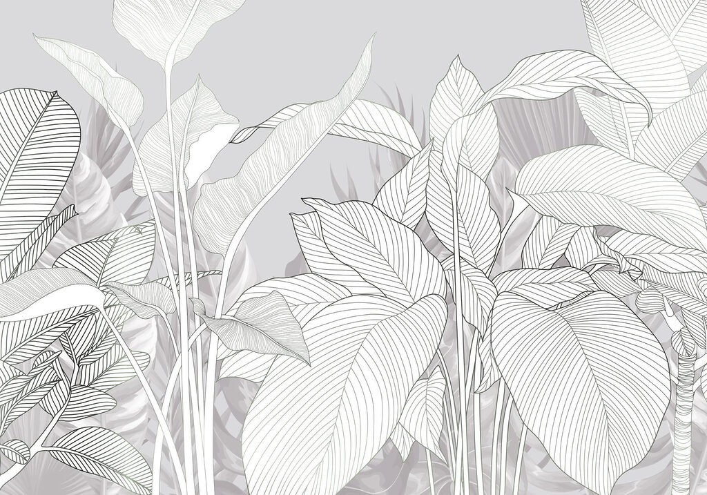 Linee eleganti della bellezza della natura’ Linee eleganti della bellezza della natura’
