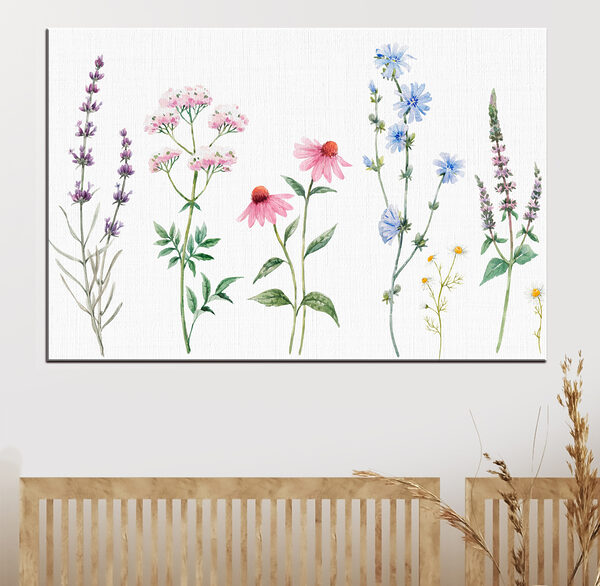 Quadri Quadri Composizione floreale su sfondo bianco (COD: s34064)