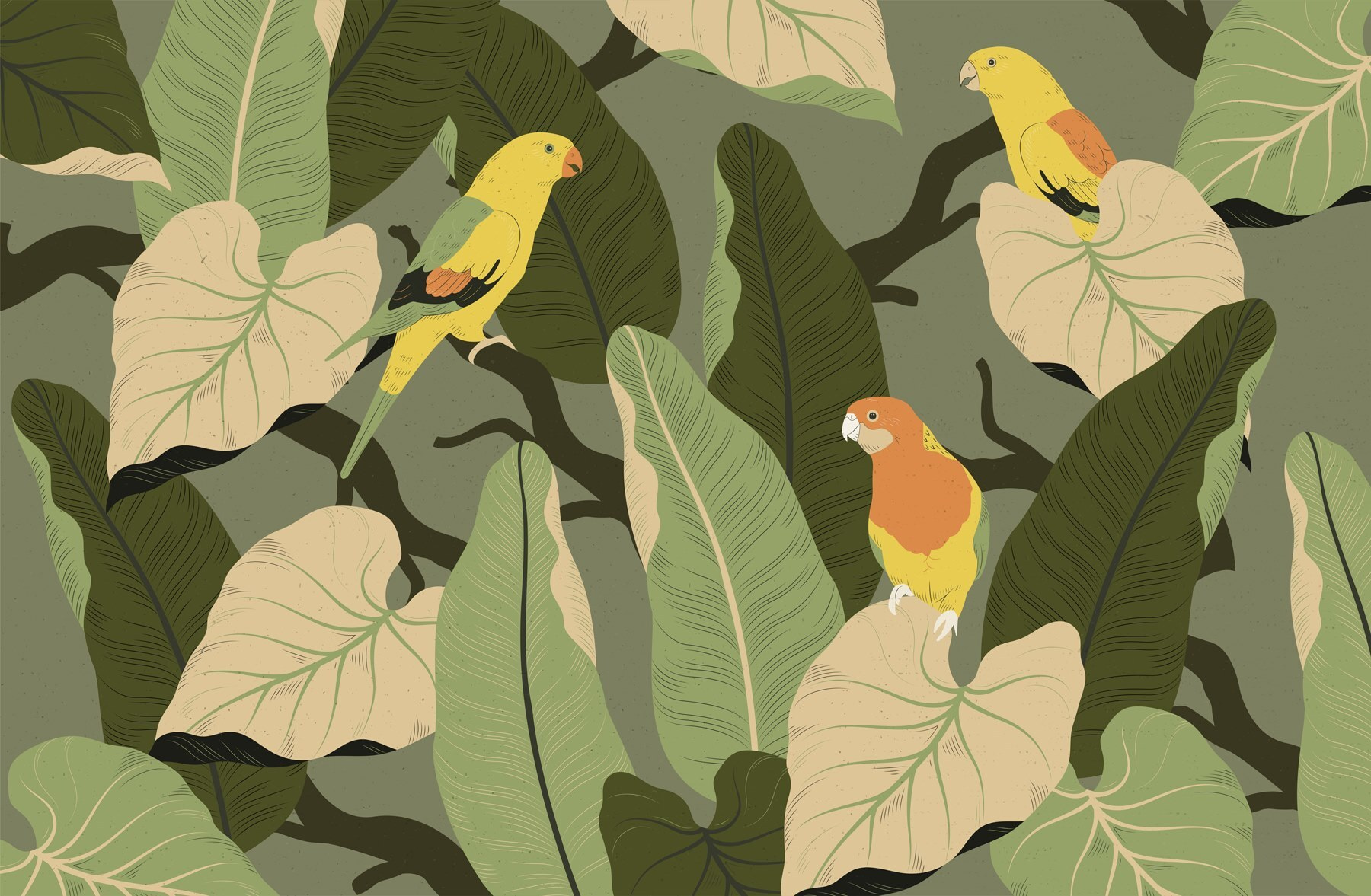 Colorful birds on a tree branch