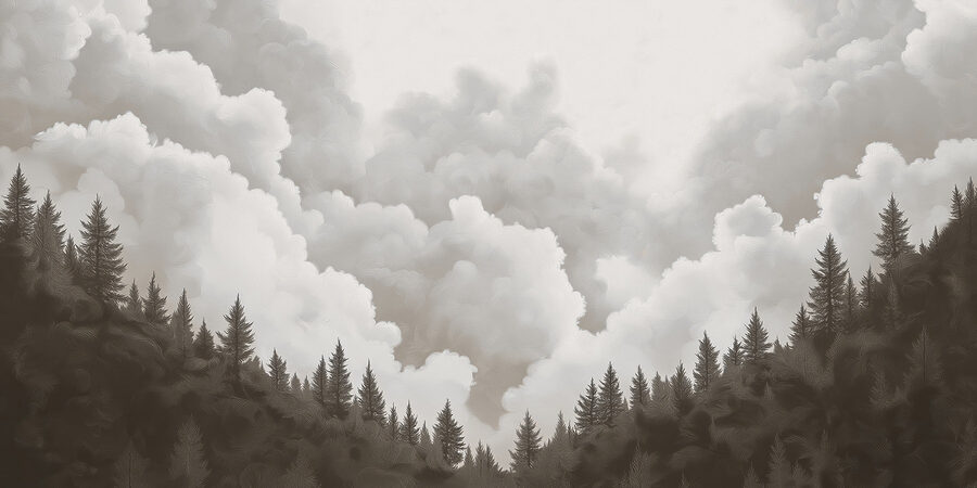 Gruppo di alberi e nuvole