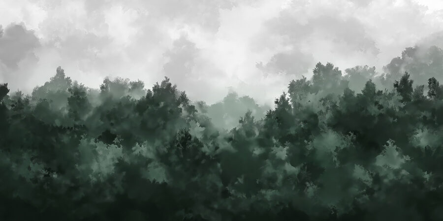 Foresta nebbiosa con alberi