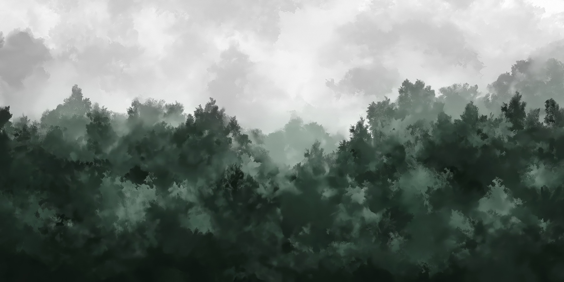 Foggy forest with trees