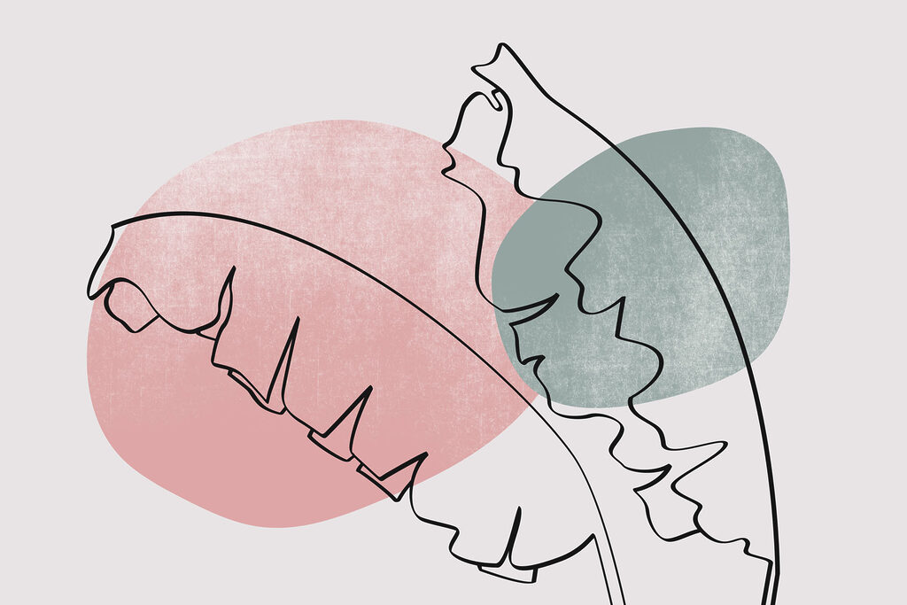 Disegno di una foglia Disegno di una foglia