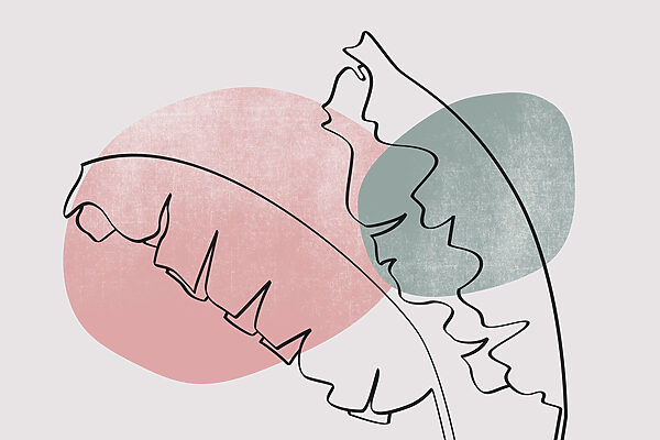 Disegno di una foglia Disegno di una foglia
