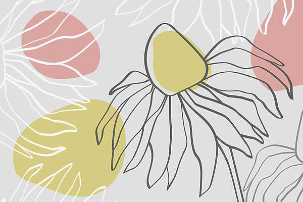 Disegno di un fiore Disegno di un fiore