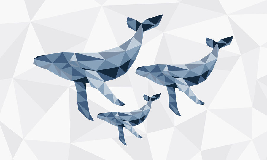 Gruppo di balene in stile low poly