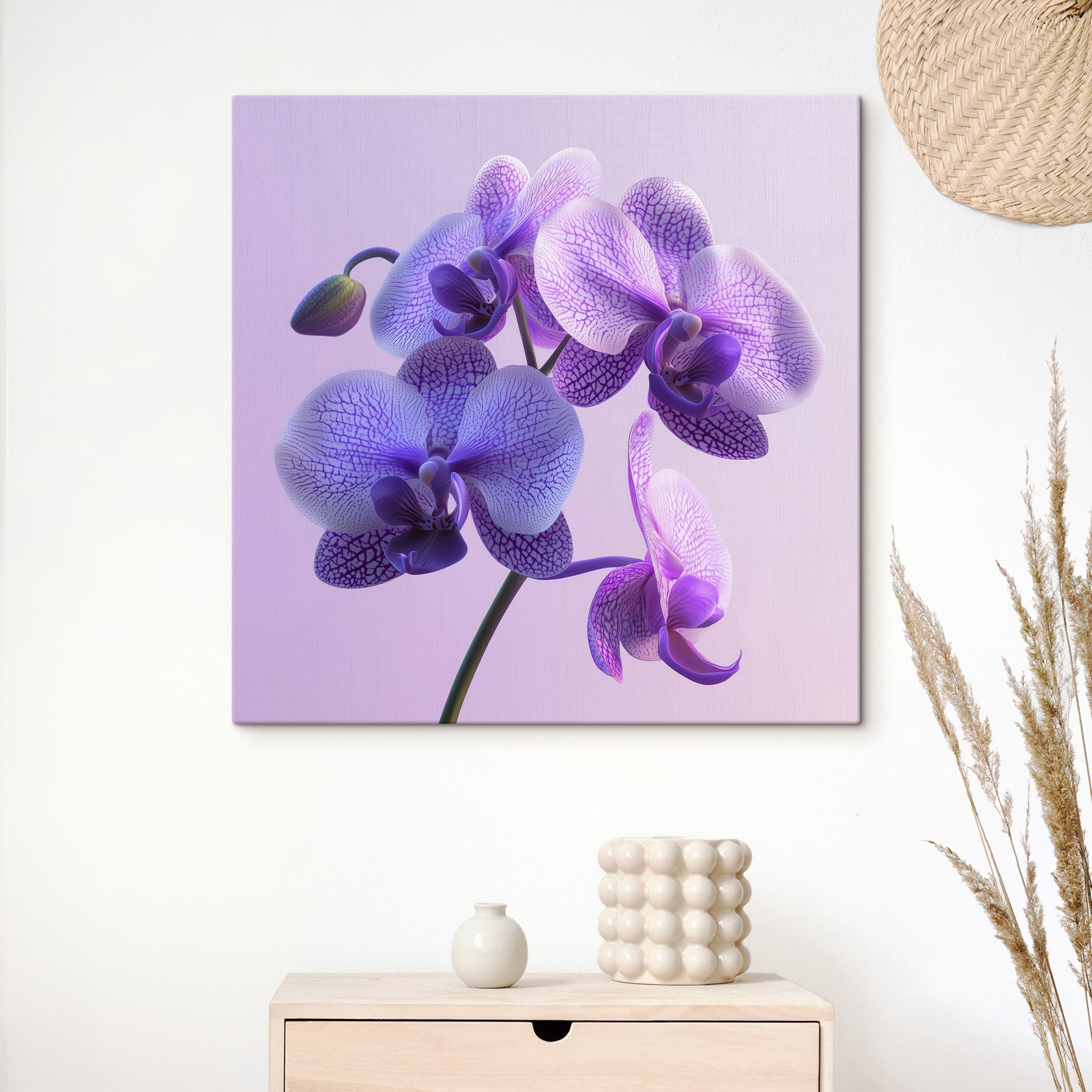 Purple and white orchid flower Purple and white orchid flower