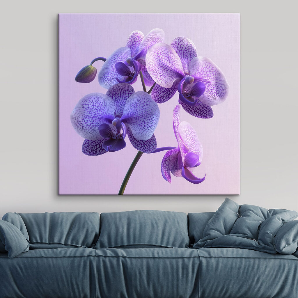 Purple and white orchid flower Purple and white orchid flower