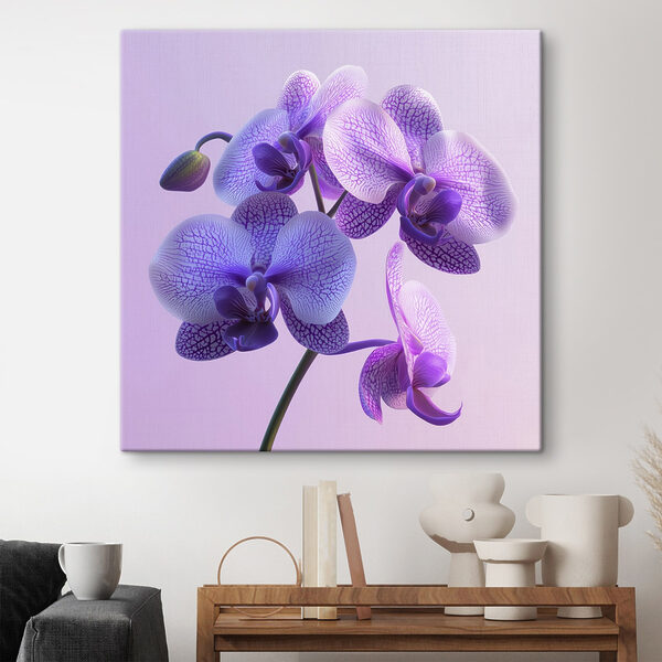 Purple and white orchid flower Purple and white orchid flower