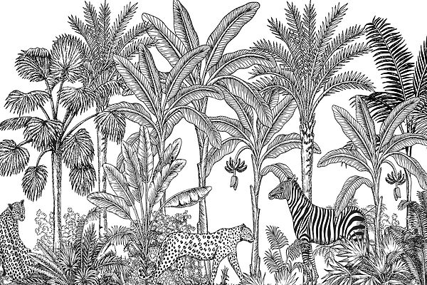 Zebra e ghepardo nella giungla Zebra e ghepardo nella giungla