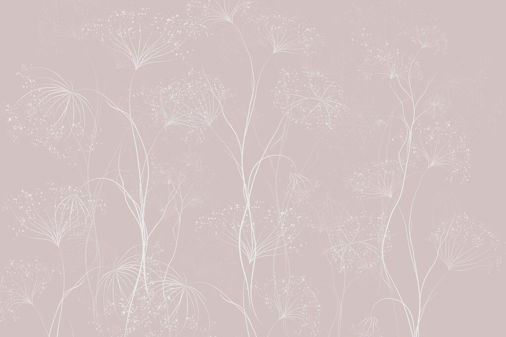 Fiori bianchi su sfondo rosa Fiori bianchi su sfondo rosa