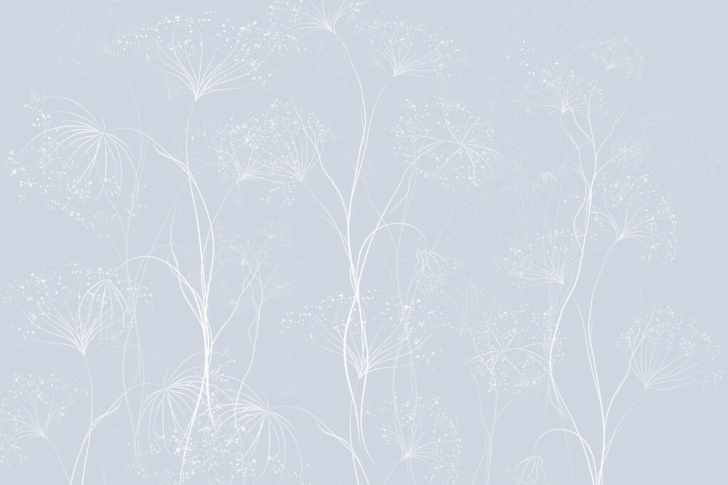 Fiori bianchi su sfondo blu Fiori bianchi su sfondo blu