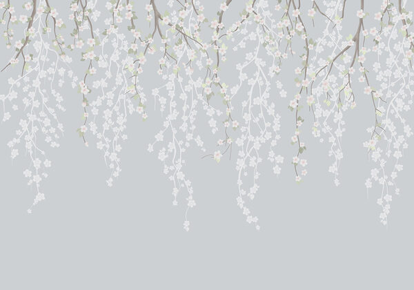 Fiori bianchi su un ramo d'albero Fiori bianchi su un ramo d'albero