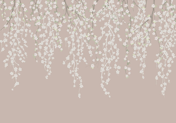 Fiori bianchi su un ramo d'albero Fiori bianchi su un ramo d'albero