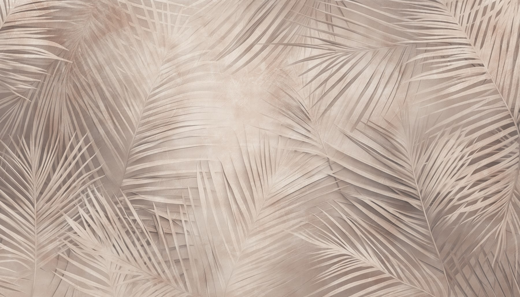 Soft tones of nature's design Soft tones of nature's design