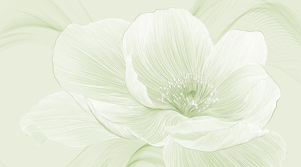 Linee delicate della bellezza della natura Linee delicate della bellezza della natura