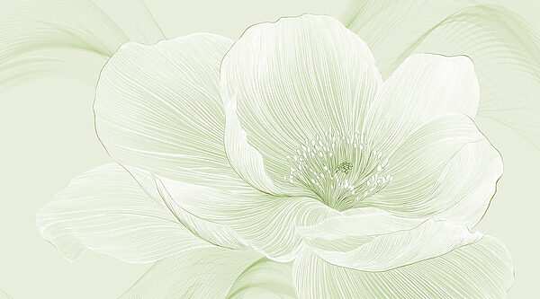 Linee delicate della bellezza della natura Linee delicate della bellezza della natura
