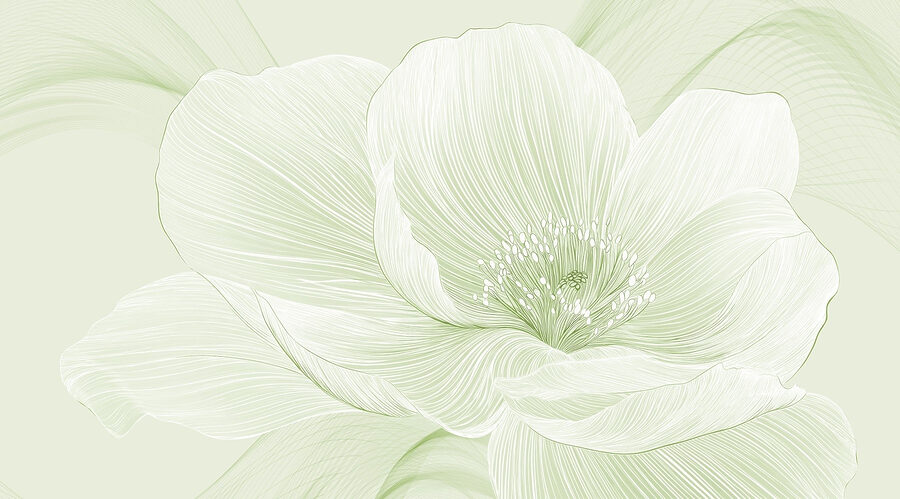 Linee delicate della bellezza della natura