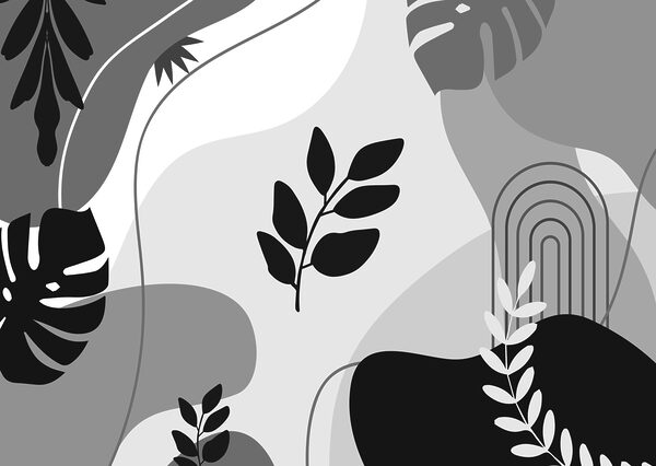 Immagine in bianco e nero di foglie e piante Immagine in bianco e nero di foglie e piante