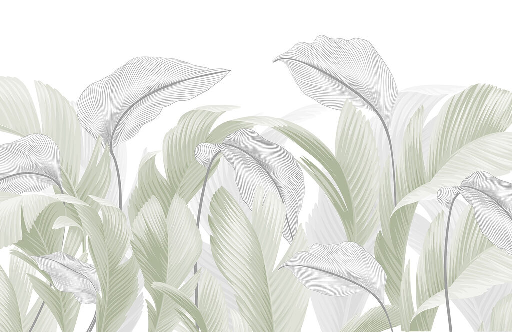 Eleganti foglie verdi su sfondo bianco Eleganti foglie verdi su sfondo bianco
