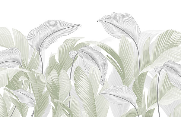 Eleganti foglie verdi su sfondo bianco Eleganti foglie verdi su sfondo bianco