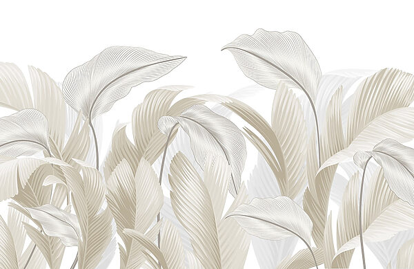 Gentle curves of nature's design