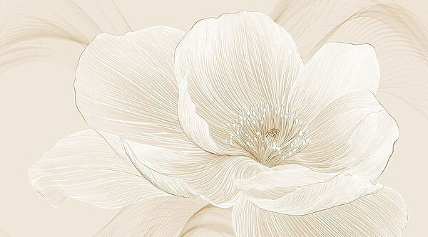 Linee delicate che definiscono la bellezza floreale Linee delicate che definiscono la bellezza floreale