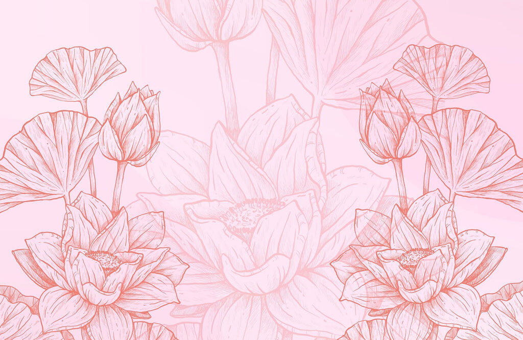 Disegno di fiori bianchi e rosa Disegno di fiori bianchi e rosa